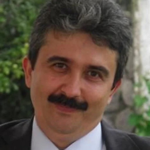 Prof. Dragos Jianu